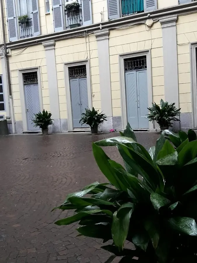 Green Tricolore Milano 0*,  Italia